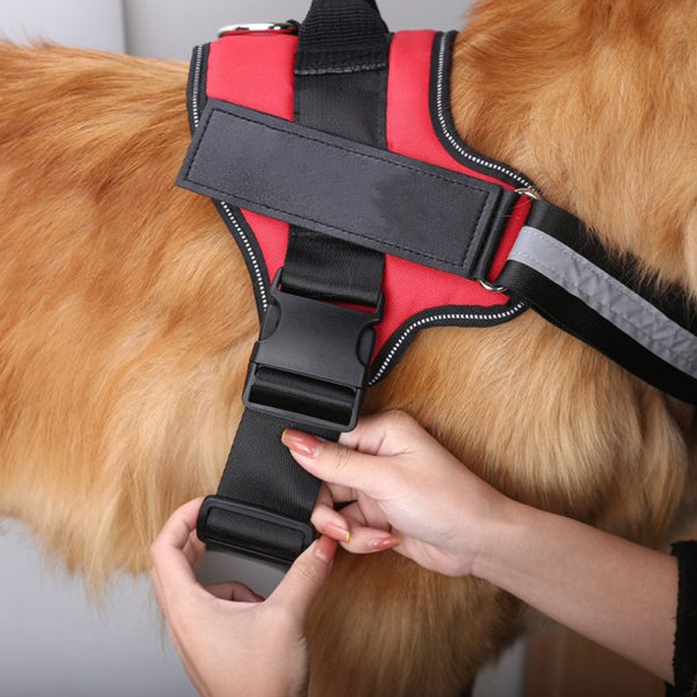 Dog Harness