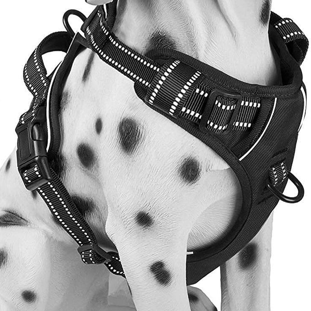 Dog Harness